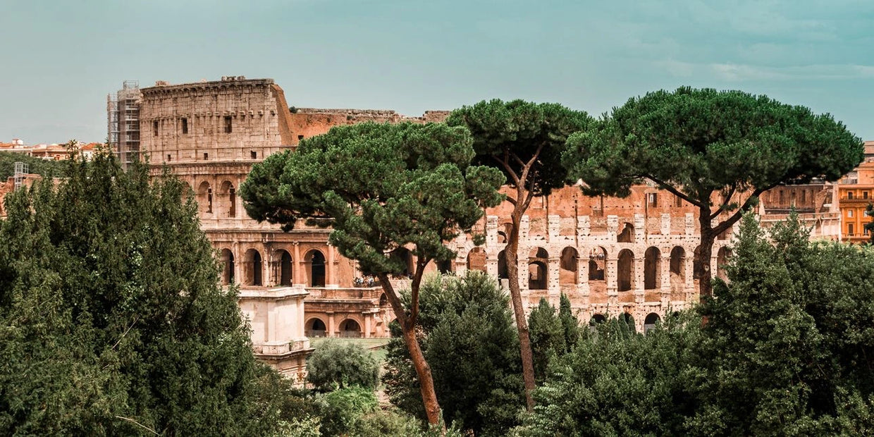 the colosseum in rome surrounded by trees in daylight